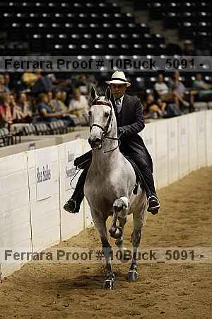 Proof 10buck_5091