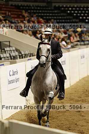 Proof 10buck_5094