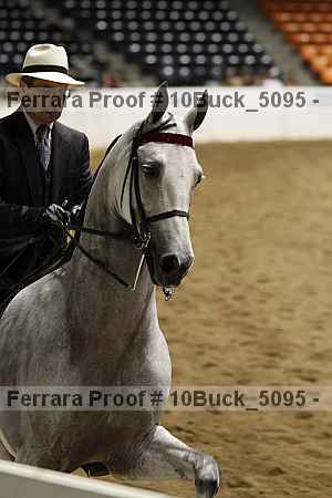 Proof 10buck_5095