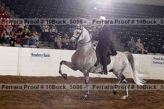 Proof 10buck_5096