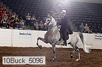 10buck_5096 proof