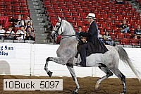 10buck_5097 proof