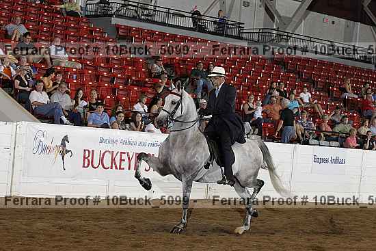 Proof 10buck_5099