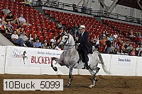 10buck_5099 proof