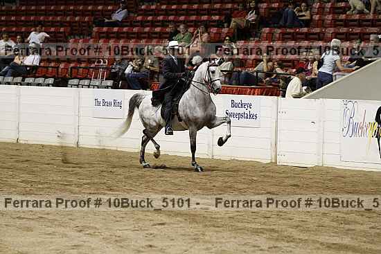 Proof 10buck_5101