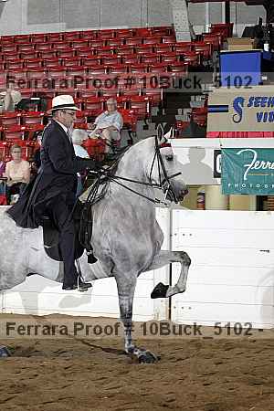 Proof 10buck_5102
