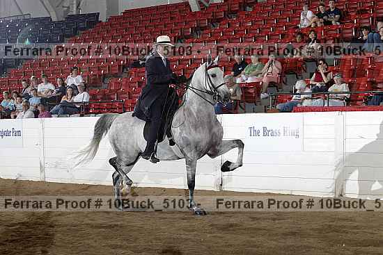 Proof 10buck_5103