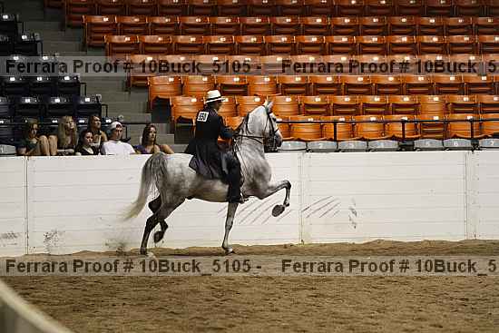 Proof 10buck_5105