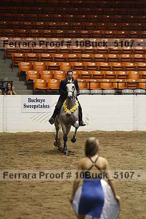 Proof 10buck_5107