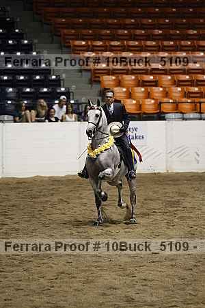 Proof 10buck_5109