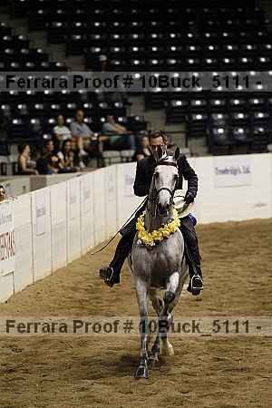 Proof 10buck_5111