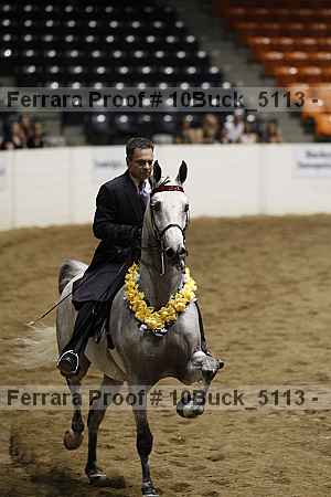 Proof 10buck_5113