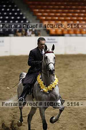 Proof 10buck_5114