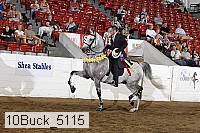 10buck_5115 proof