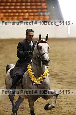 Proof 10buck_5116