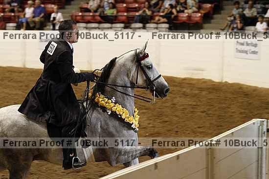 Proof 10buck_5117
