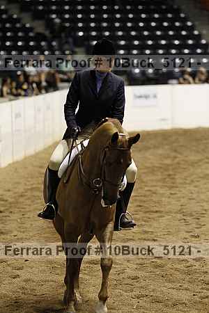 Proof 10buck_5121