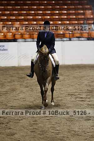 Proof 10buck_5126