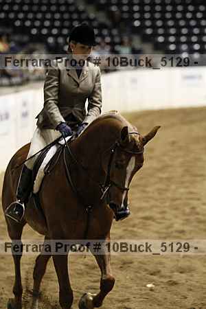 Proof 10buck_5129