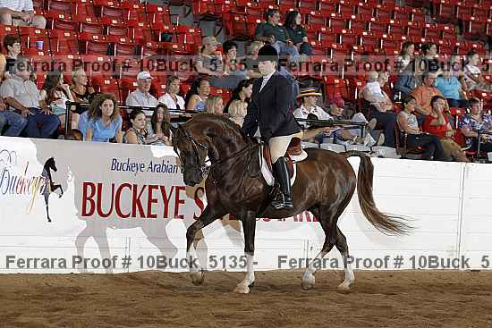 Proof 10buck_5135