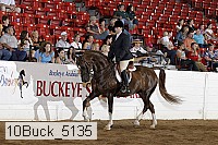 10buck_5135 proof