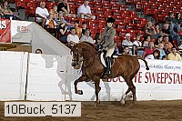 10buck_5137 proof