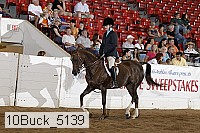 10buck_5139 proof