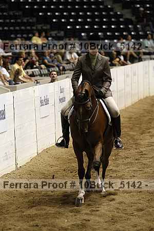 Proof 10buck_5142