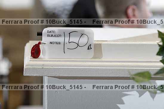 Proof 10buck_5145