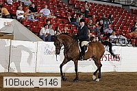 10buck_5146 proof
