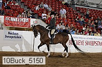 10buck_5150 proof