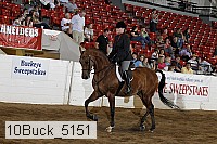 10buck_5151 proof