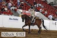 10buck_5153 proof