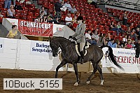 10buck_5155 proof