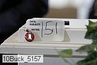 10buck_5157 proof