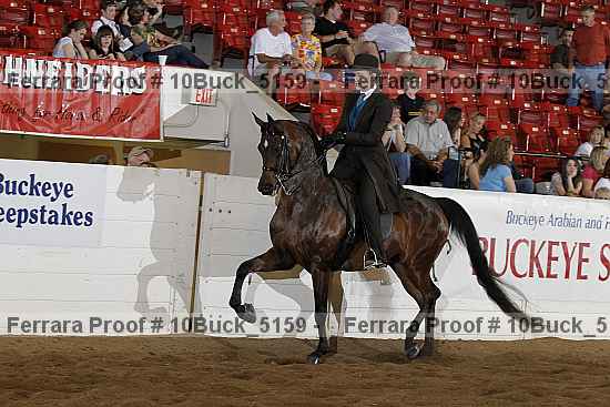 Proof 10buck_5159