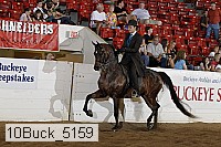 10buck_5159 proof
