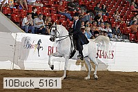 10buck_5161 proof