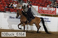 10buck_5164 proof