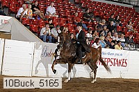 10buck_5165 proof