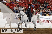 10buck_5167 proof