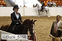 10buck_5168 proof