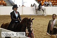 10buck_5169 proof