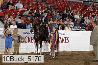 10buck_5170 proof