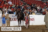 10buck_5171 proof