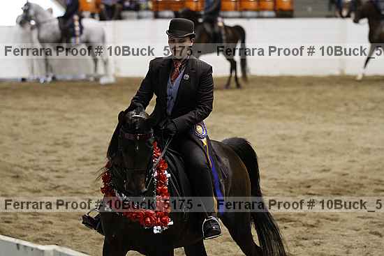 Proof 10buck_5175