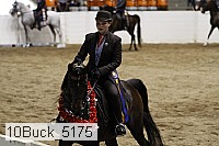 10buck_5175 proof