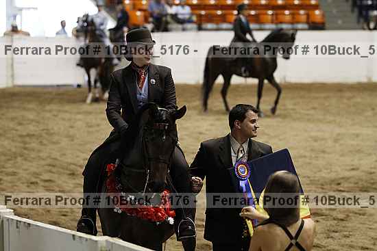 Proof 10buck_5176