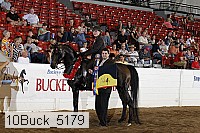 10buck_5179 proof