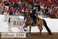 10buck_5181 proof